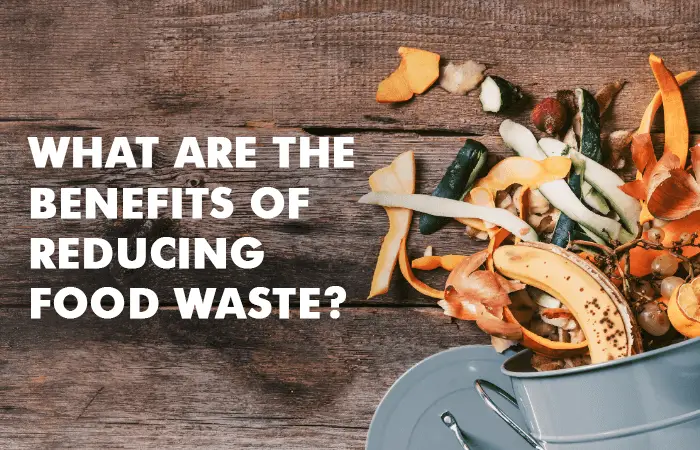 What are the benefits of reducing food waste