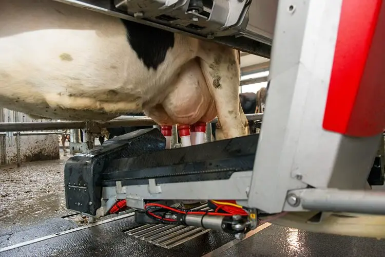 Lely A4 Robot Milk System Settlement