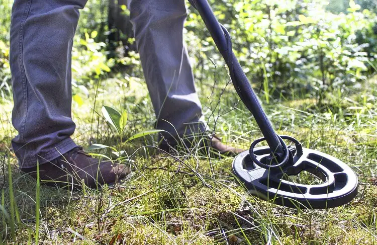How to Choose Your First Metal Detector as a Beginner?