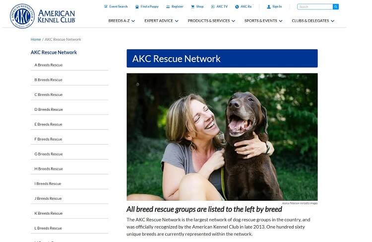 akc rescue network animal rescue center