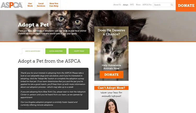 ASPCA free adoption day