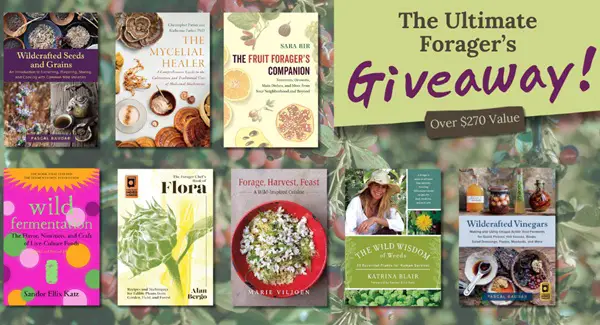 Win The Ultimate Forager's Giveaway