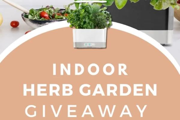 Win 10 Best Tips On How To Grow An Indoor Herb Garden Giveaway