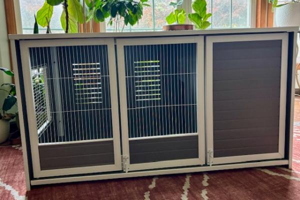 Win New Age Pet Giveaway