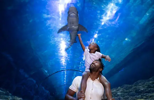 Win The Orlando Family Vacation Sweepstakes