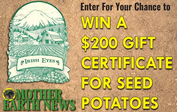 Win Irish Eyes Giveaway