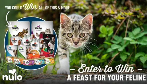 Win Nulo Feast for Your Feline Giveaway