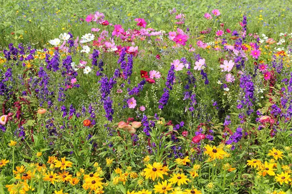 Win Spruce Up for Spring Sweepstakes