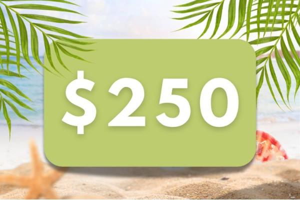 Win A $250 Gift Card Summer Vibes Sweepstakes