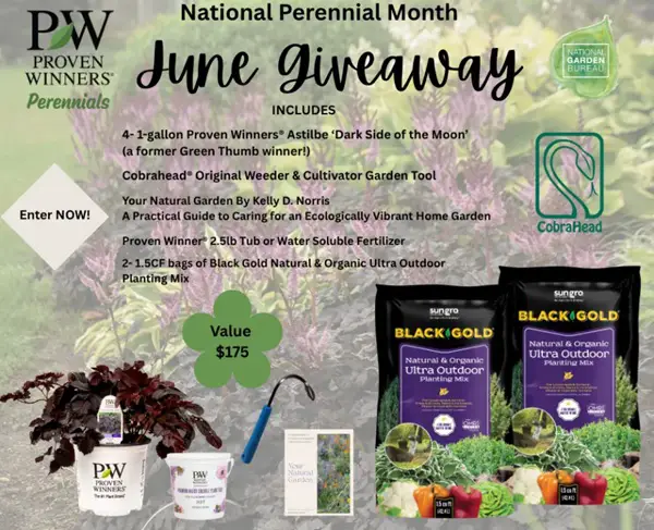 Win National Perennial Month June Giveaway
