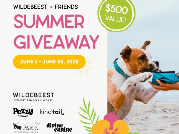 Win An Wildebeest + Friends Summer Giveaway