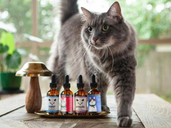 Win CBD Cat Bundle or Dog Bundle June 2025 Bonus Giveaway