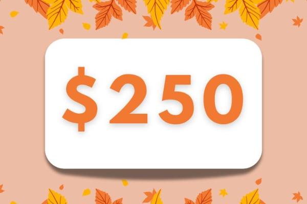 Win A $250 Gift Card Back-to-School Boost Sweepstakes