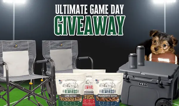 Win The Ultimate Game Day Giveaway