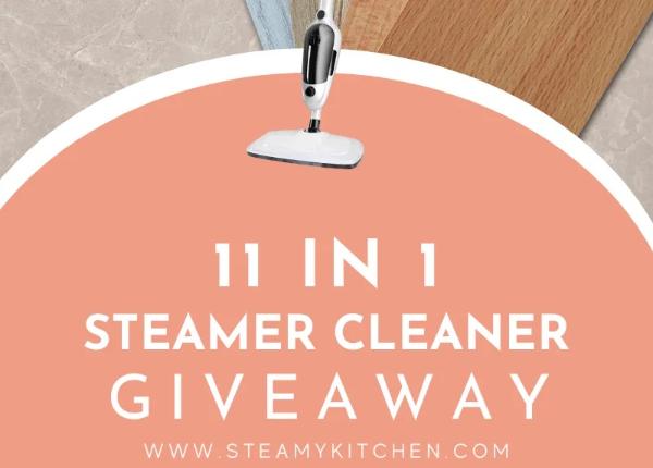 Win 11 in 1 Steamer Cleaner Giveaway