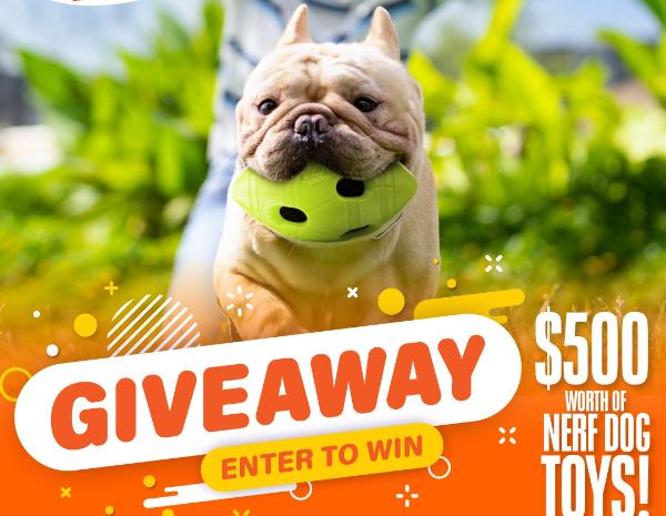 Win Nerf Dog: Nerf Dog Toys Giveaway