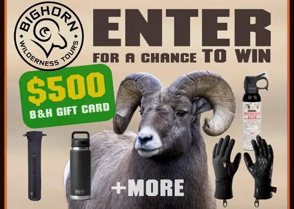 Win A Yellowstone Photography Package Giveaway