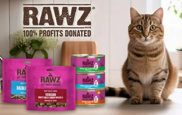 Win Floppy Cats: November Giveaway