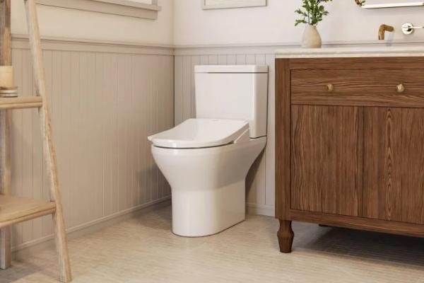 Win Luxury Bidet Toilet Seat Giveaway