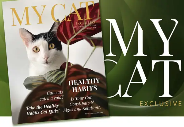 Win Catit: PIXI Smart Feeder Giveaway