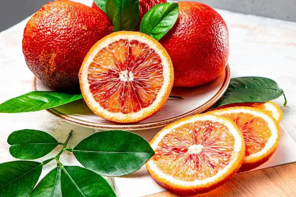 Win The HarvestClub™ Americana 3 Month Classic Giveaway