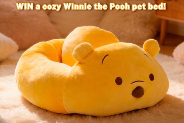 Win The KOKO Amusement: Winnie the Pooh Day Giveaway