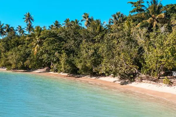 Win A Trip to the Heart of the Rhythm Sweepstakes