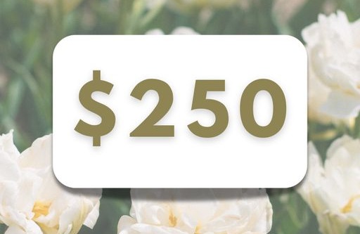 Win A $250 Gift Card Pot of Gold Sweepstakes