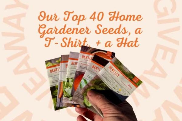 Win Bentley: Top 40 Home Gardener Seeds Giveaway