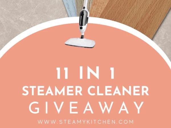 Win 11 in 1 Steamer Cleaner Giveaway