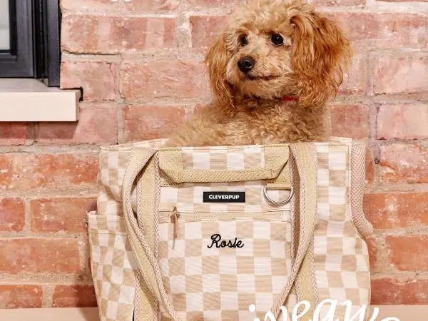 Win Cleverpup: Transit Tote Dog Carrier Giveaway