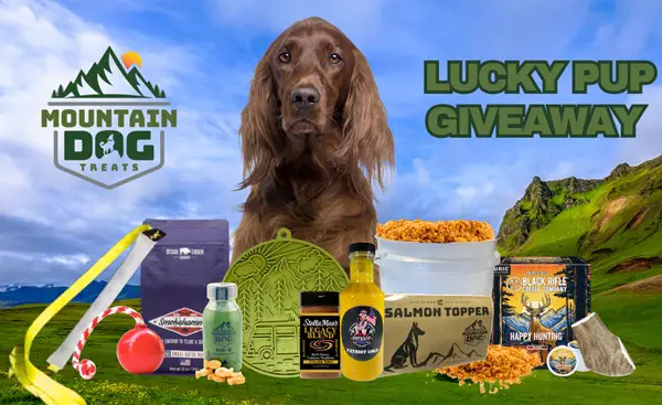 Win Lucky Pup Giveaway