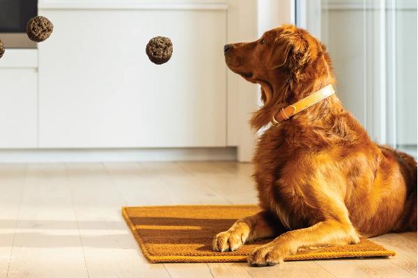 Win The K9 Natural Baked & Coated Sweepstakes