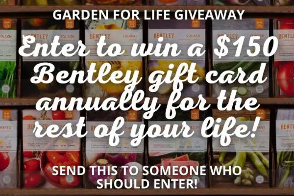 Win The Bentley Seeds: Garden For Life Giveaway
