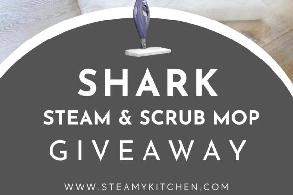 Win Shark Steam & Scrub Mop Giveaway