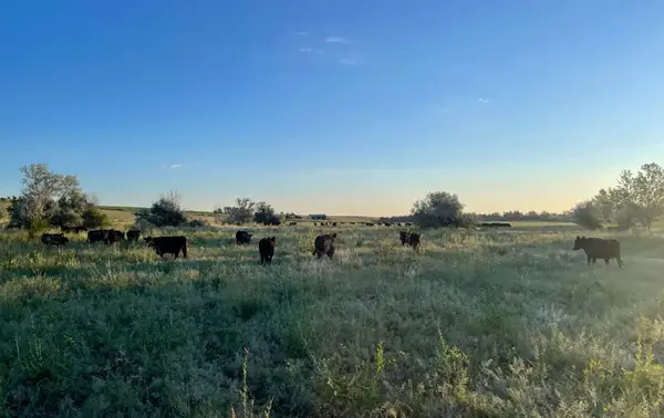 Win Flying B Bar Ranch: Holy Cow Box Sweepstakes