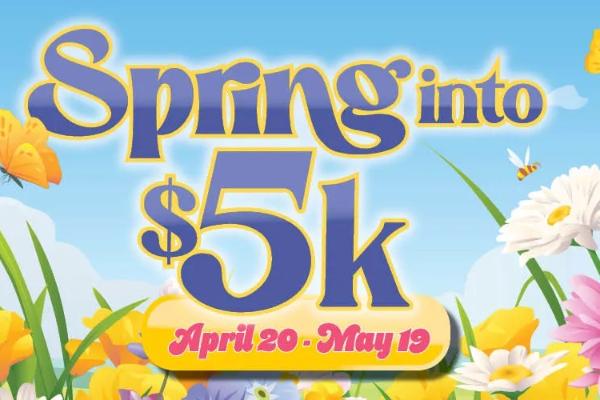 Win St Louis Post Dispatch: Spring Into $5K Sweepstakes