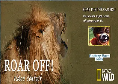 Your Child's Roar Off Video wins you $4,000 Cash