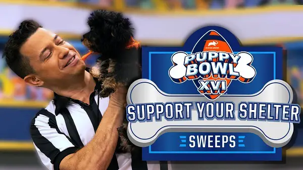 Animalplanet.com Support Your Shelter Sweepstakes