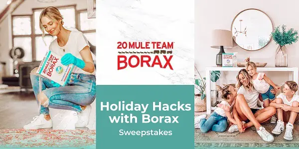 20 Mule Team Borax Holiday Sweepstakes