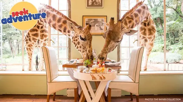 Omaze Giraffe Manor Sweepstakes