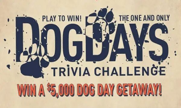Road iD Contest: Win A Dog Day Getaway