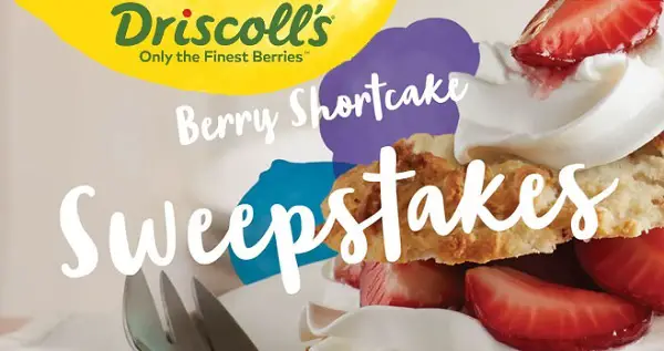 Driscoll’s Berry Sweepstakes: Win Visa Gift Cards