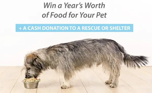 JustFoodForDogs Fresh Food for a Year Sweepstakes