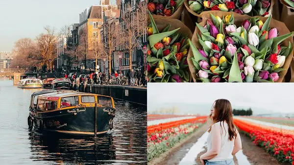 Omaze Amsterdam Tulip Festival Sweepstakes