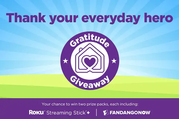 Roku Everyday Hero Giveaway