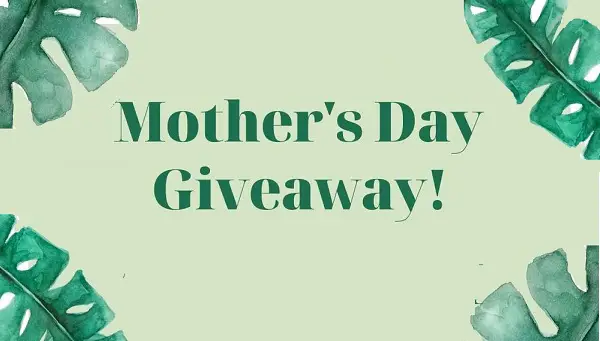 Tidy Abode Mother’s Day Sweepstakes 2020