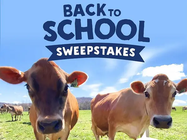 Stonyfield Back to School Sweepstakes 2020