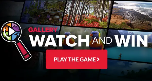 Dish Gallery Watch and Win Sweepstakes