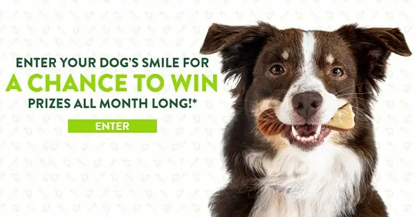 Healthier by the Smile Sweepstakes 2022: Win free WHIMZEES for a Year